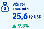 Dich Vu Nop Bao Cao Dau Tu Dinh Ky Doanh Nghiep FDI
