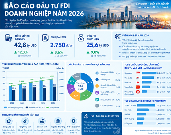 Báo các đầu tư doanh nghiệp FDI